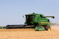Kansas Wheat Harvest