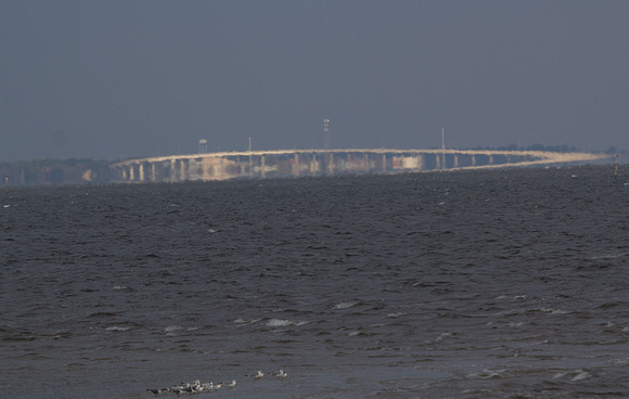 Apalachicola_Bridge
