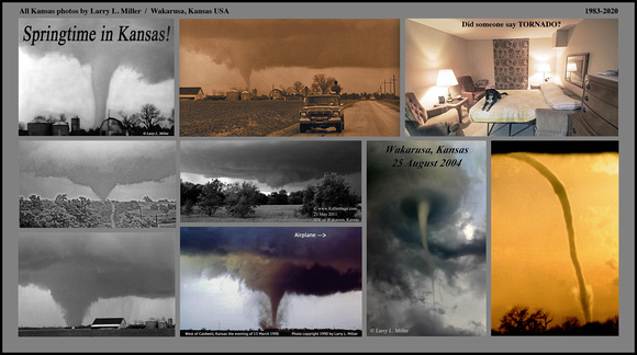 web-tornado-poster