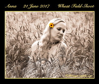 ANNA  (2017 Wheat Field Photo Shoot)