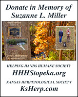 In Memory of  SUZANNE L. MILLER