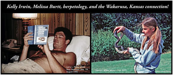 wakarusa-connection-herpetology