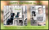 Max-7-years-old-birthday