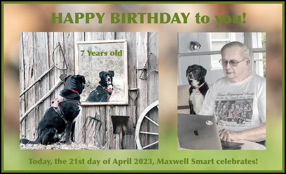 Max-7-years-old-birthday