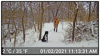 Max-LLM-snow-camera-trap