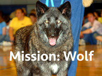 Mission: Wolf . (NHJH visit November 2003)